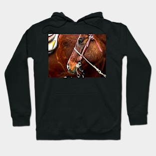 Horse Logic Hoodie